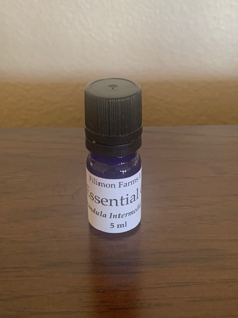 Lavender Essential Oil 5 ml